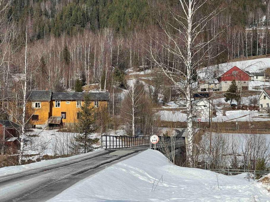 فيلا Koselig Hytte Med Uteplas Ved Hallingdalselva آل المظهر الخارجي الصورة